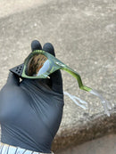 Plantaris Transparent Fern Vr28