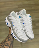 Nike Air Max Tn Ice Metalic