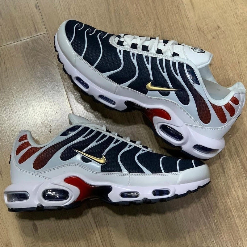 Nike Air Max Tn Paris