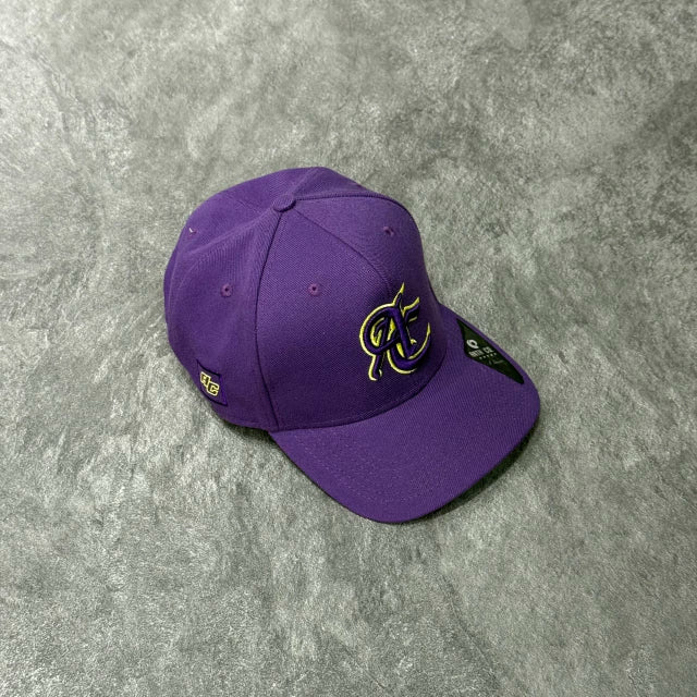 BONÉ ABA CURVA BEISEBOL ANTH CO - ROXO