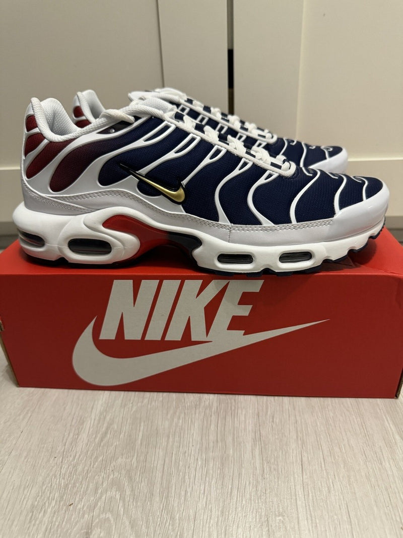 Nike Air Max Tn Paris